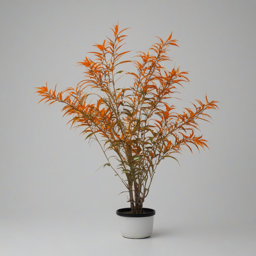 Orange biopunk plant, full-body view, on white background, vibrant, on a plain white background, even lighting 
