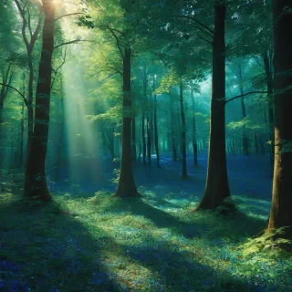 A serene and vibrant magical forest with glowing leaves in shades of emerald green and sapphire blue, with sunlight filtering through the trees, full-body view, wide shot, feet visible, digital art style, with dynamic shadows and a sense of depth, no humans, no animals, no buildings, no pollution