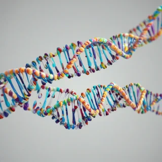 A detailed, full-body view of a long, twisted strand of DNA, with a wide shot, on a plain white background, in a digital art style with vibrant colors and dynamic shadows, with the DNA double helix structure clearly visible, and the nucleotide bases and sugar-phosphate backbone visible in the foreground, on a plain white background, even lighting 
