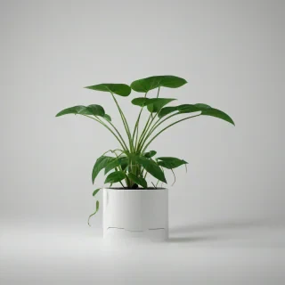 a modernist green plant with clean lines and minimalistic leaves, set against a plain white background, in a wide shot with the entire plant visible from roots to leaves, with a focus on simplicity and geometric shapes, in the style of a digital illustration, on a plain white background, even lighting 