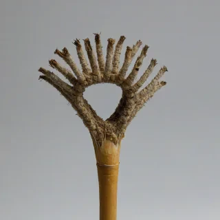 erstelle eine muffe für ein 10er rohr, on a plain white background, even lighting