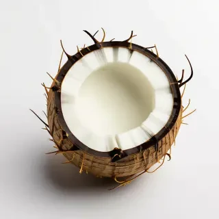 coconut