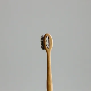 wood toothbrush, on a plain white background, even lighting