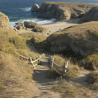 A sun-drenched cliffside trail winding through tall golden grasses, overlooking a rugged coastline with crashing waves and scattered boulders below. A weathered wooden fence follows the edge of the cliff, worn smooth by salt air and time. Dappled sunlight filters through sparse pines, casting irregular shadows across the dusty trail. The view opens up to a sweeping panorama of the ocean, fading into a misty horizon. Shot with a slightly wide-angle lens in golden hour light, the framing feels spontaneous and unposed—like a photo snapped mid-hike with an iPhone, capturing the breathtaking view and tactile details of soil, bark, and windblown grasses.
