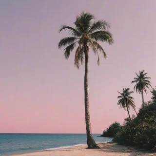 pink palm tree, pink beach picture