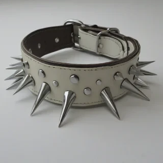 cartoon spike collar, on a plain white background, even lighting