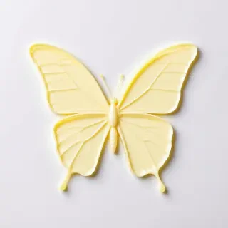 a butterfly made out of slightly melted butter