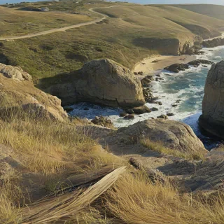 A sun-drenched cliffside trail winding through tall golden grasses, overlooking a rugged coastline with crashing waves and scattered boulders below. A weathered wooden fence follows the edge of the cliff, worn smooth by salt air and time. Dappled sunlight filters through sparse pines, casting irregular shadows across the dusty trail. The view opens up to a sweeping panorama of the ocean, fading into a misty horizon. Shot with a slightly wide-angle lens in golden hour light, the framing feels spontaneous and unposed—like a photo snapped mid-hike with an iPhone, capturing the breathtaking view and tactile details of soil, bark, and windblown grasses.