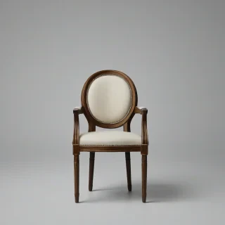 elegant chick chair with interesting back for dinning, on a plain white background, even lighting