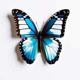 stuffed animal of a butterfly