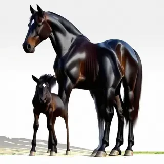 Black horse standing, with a black baby horse standing next to the bigger one