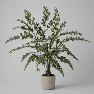 full-body view of a khaki green plant with gothic style leaves on a plain white background