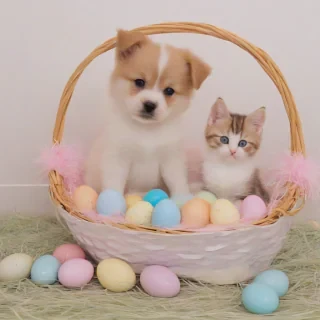 A cute, fluffy puppy and a small, adorable kitten sitting together in a colorful, decorated Easter basket, filled with soft, pastel-colored grass and surrounded by Easter eggs, with a full-body view of both the puppy and kitten, on a plain white background, in a warm, natural light, with a photography style