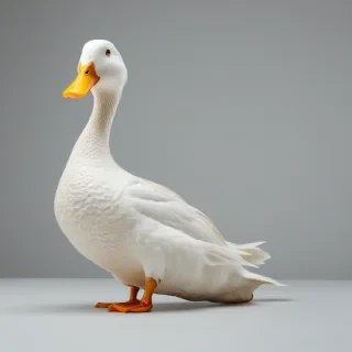 Twisted leg prosthetic for a duck, on a plain white background, even lighting