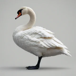 A white swan in pixel art style, full-body view, on a plain white background, with a wide shot, and detailed pixelation, in a digital art style, on a plain white background, even lighting 