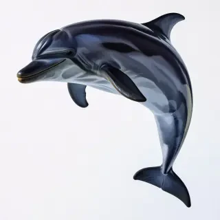 dolphin