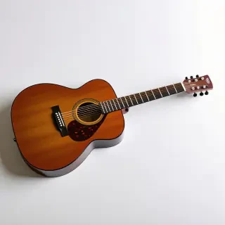 acoustic guitar