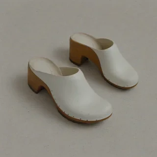 clog stye shoes, on a plain white background, even lighting