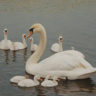 Pointillism of an adult swan with seven baby swans next to the adult swan