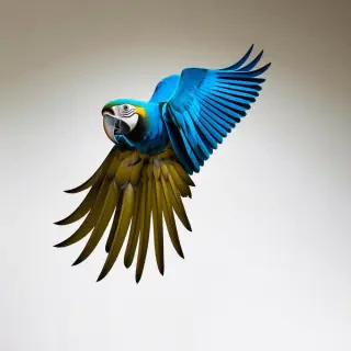 flying blue parrot