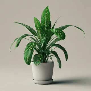 Digital art of a house plant