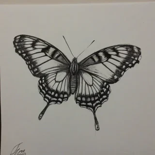 Sketch painting of a beautiful butterfly